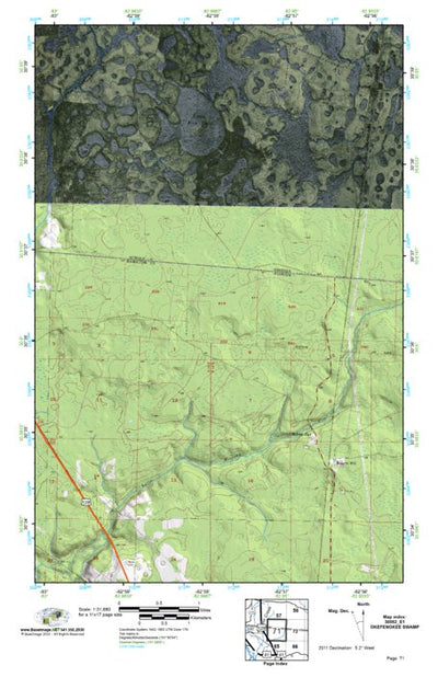 (30082e1) Page 071 Okefenokee Swamp Preview 1