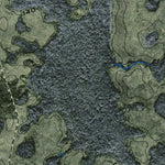 (30082e1) Page 071 Okefenokee Swamp Preview 3