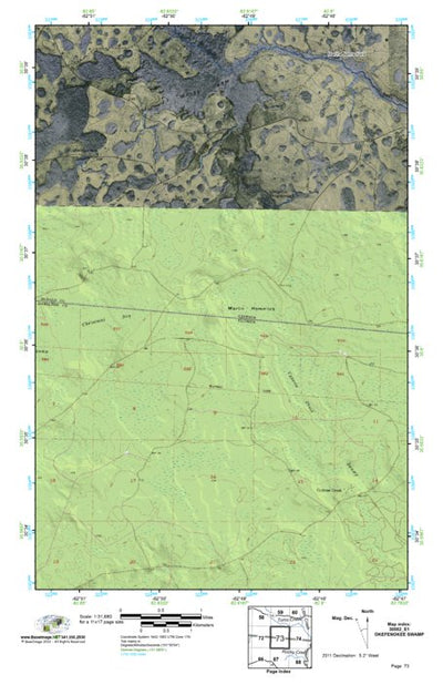 (30082e1) Page 073 Okefenokee Swamp Preview 1