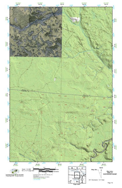 (30082e1) Page 074 Okefenokee Swamp Preview 1