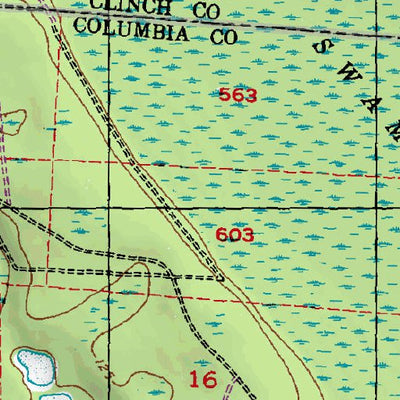 (30082e1) Page 077 Okefenokee Swamp Preview 3