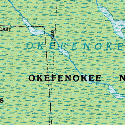 (30082e1) Page 078 Okefenokee Swamp Preview 3