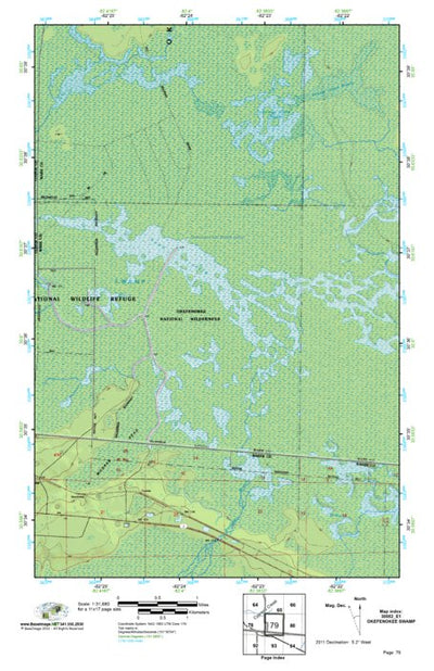 (30082e1) Page 079 Okefenokee Swamp Preview 1