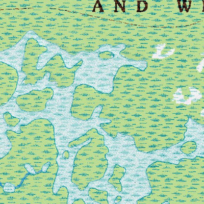 (30082e1) Page 080 Okefenokee Swamp Preview 2