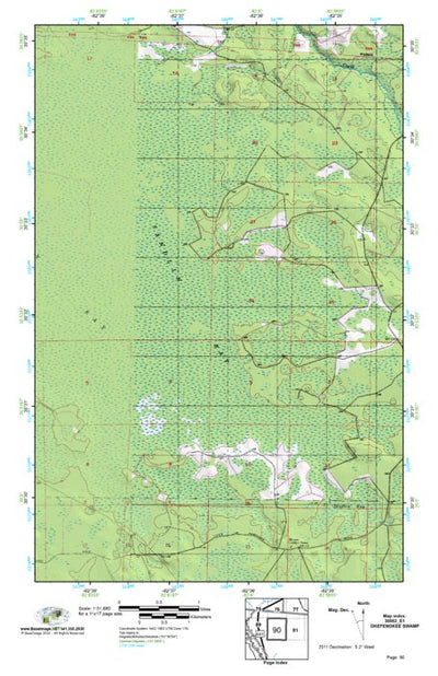 (30082e1) Page 090 Okefenokee Swamp Preview 1