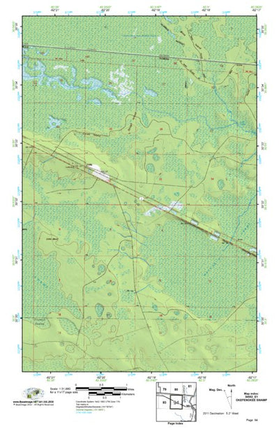 (30082e1) Page 094 Okefenokee Swamp Preview 1
