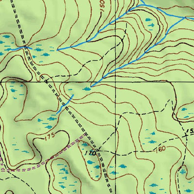 (30082e1) Page 097 Okefenokee Swamp Preview 2