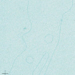(30088a1) Page 070 Biloxi Preview 2