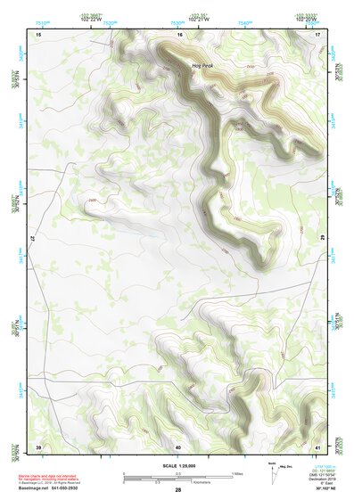 30102NE Page 28 Fort Stockton Topo Preview 1