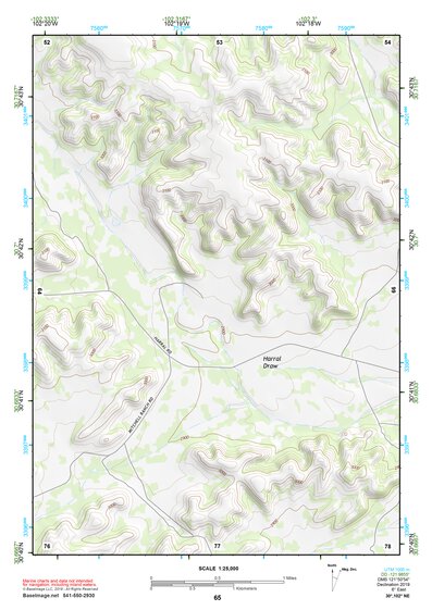 30102NE Page 65 Fort Stockton Topo Preview 1