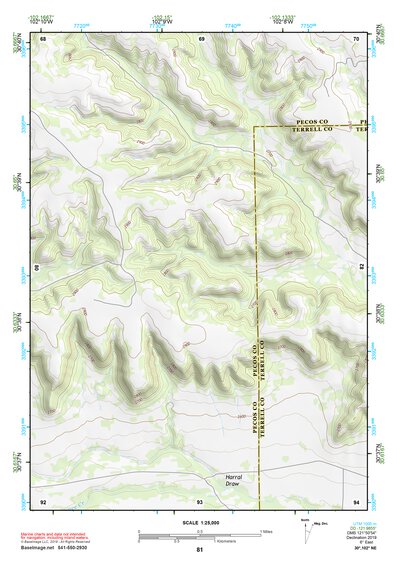 30102NE Page 81 Fort Stockton Topo Preview 1