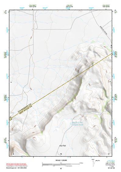 30104NE Page 4 Mount Livermore Topo Preview 1
