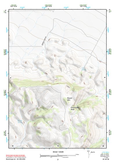 30104NE Page 7 Mount Livermore Topo Preview 1