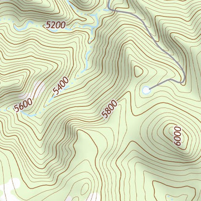 30104NE Page 11 Mount Livermore Topo Preview 2