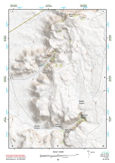 30104NE Page 15 Mount Livermore Topo Preview 1