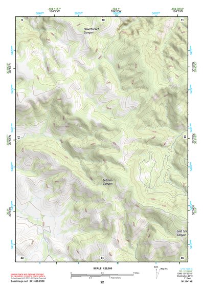 30104NE Page 22 Mount Livermore Topo Preview 1