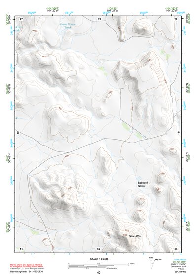 30104NE Page 40 Mount Livermore Topo Preview 1
