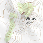 30104NE Page 44 Mount Livermore Topo Preview 3