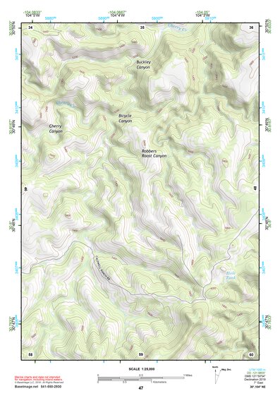 30104NE Page 47 Mount Livermore Topo Preview 1