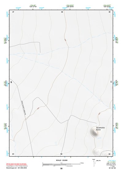 30104NE Page 50 Mount Livermore Topo Preview 1
