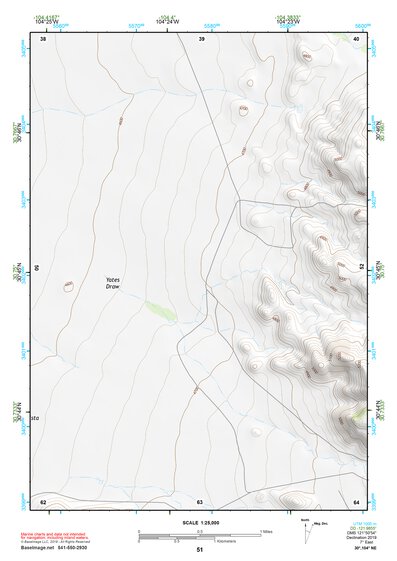 30104NE Page 51 Mount Livermore Topo Preview 1