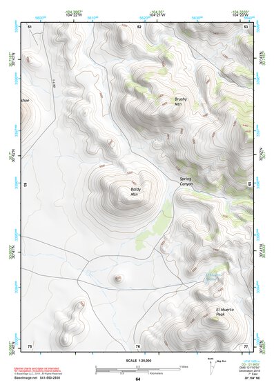 30104NE Page 64 Mount Livermore Topo Preview 1