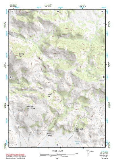 30104NE Page 65 Mount Livermore Topo Preview 1