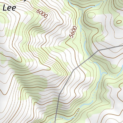 30104NE Page 65 Mount Livermore Topo Preview 3