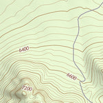 30104NE Page 67 Mount Livermore Topo Preview 2