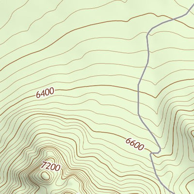 30104NE Page 67 Mount Livermore Topo Preview 2