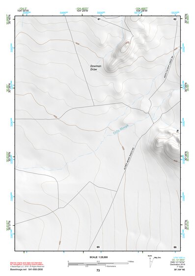 30104NE Page 73 Mount Livermore Topo Preview 1