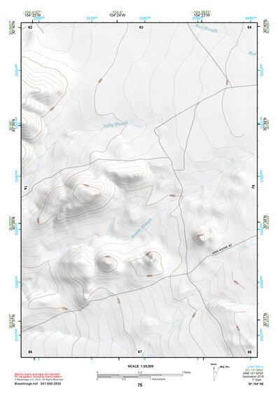 30104NE Page 75 Mount Livermore Topo Preview 1