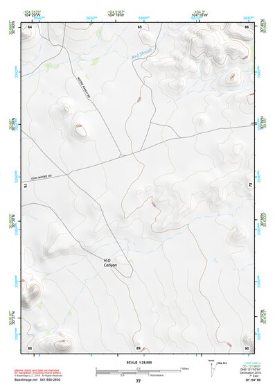 30104NE Page 77 Mount Livermore Topo Preview 1