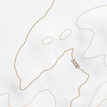 30104NE Page 77 Mount Livermore Topo Preview 2