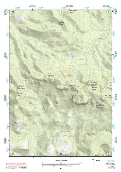 30104NE Page 80 Mount Livermore Topo Preview 1