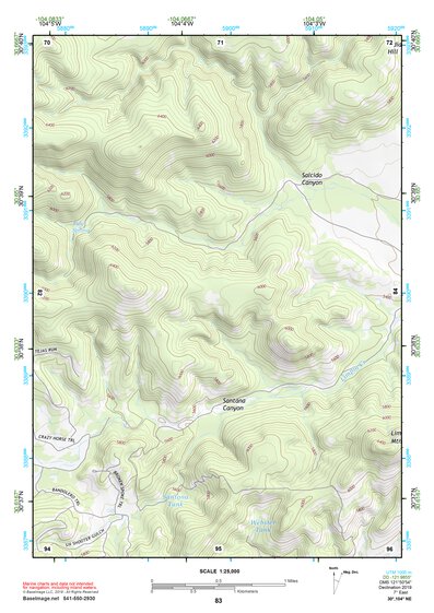 30104NE Page 83 Mount Livermore Topo Preview 1