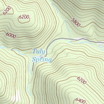 30104NE Page 83 Mount Livermore Topo Preview 3