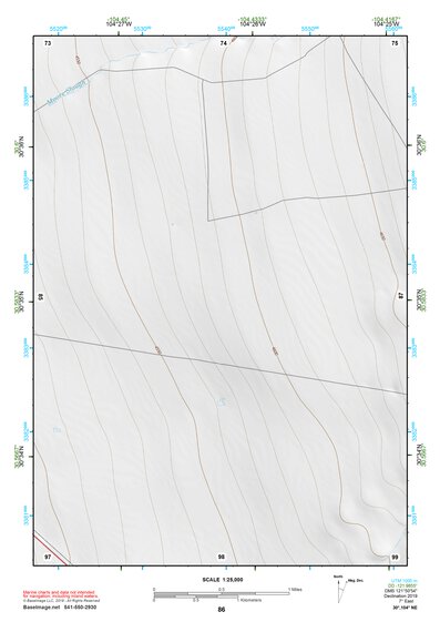 30104NE Page 86 Mount Livermore Topo Preview 1