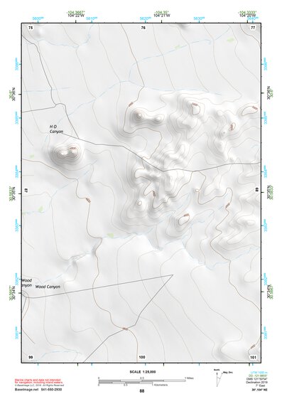 30104NE Page 88 Mount Livermore Topo Preview 1