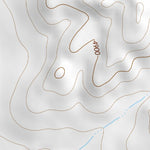 30104NE Page 88 Mount Livermore Topo Preview 2