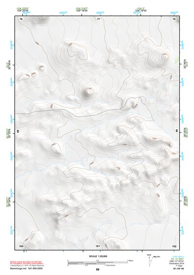 30104NE Page 89 Mount Livermore Topo Preview 1