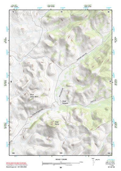 30104NE Page 91 Mount Livermore Topo Preview 1