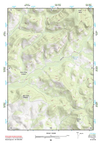 30104NE Page 92 Mount Livermore Topo Preview 1