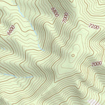 30104NE Page 93 Mount Livermore Topo Preview 2