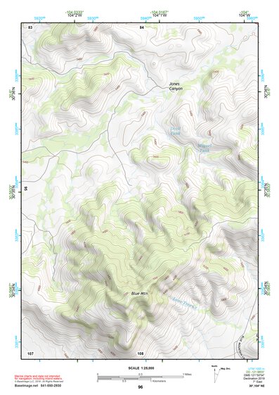 30104NE Page 96 Mount Livermore Topo Preview 1