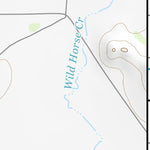 30104NW Page 5 Mount Livermore Topo Preview 3