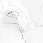30104NW Page 24 Mount Livermore Topo Preview 3