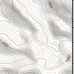 30104NW Page 31 Mount Livermore Topo Preview 3
