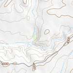 30104NW Page 51 Mount Livermore Topo Preview 2