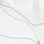 30104NW Page 57 Mount Livermore Topo Preview 2